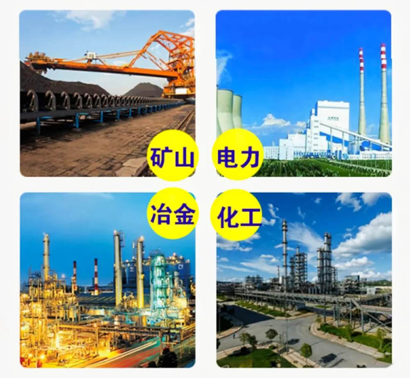 皮帶秤應(yīng)用行業(yè) 皮帶秤應(yīng)用行業(yè)