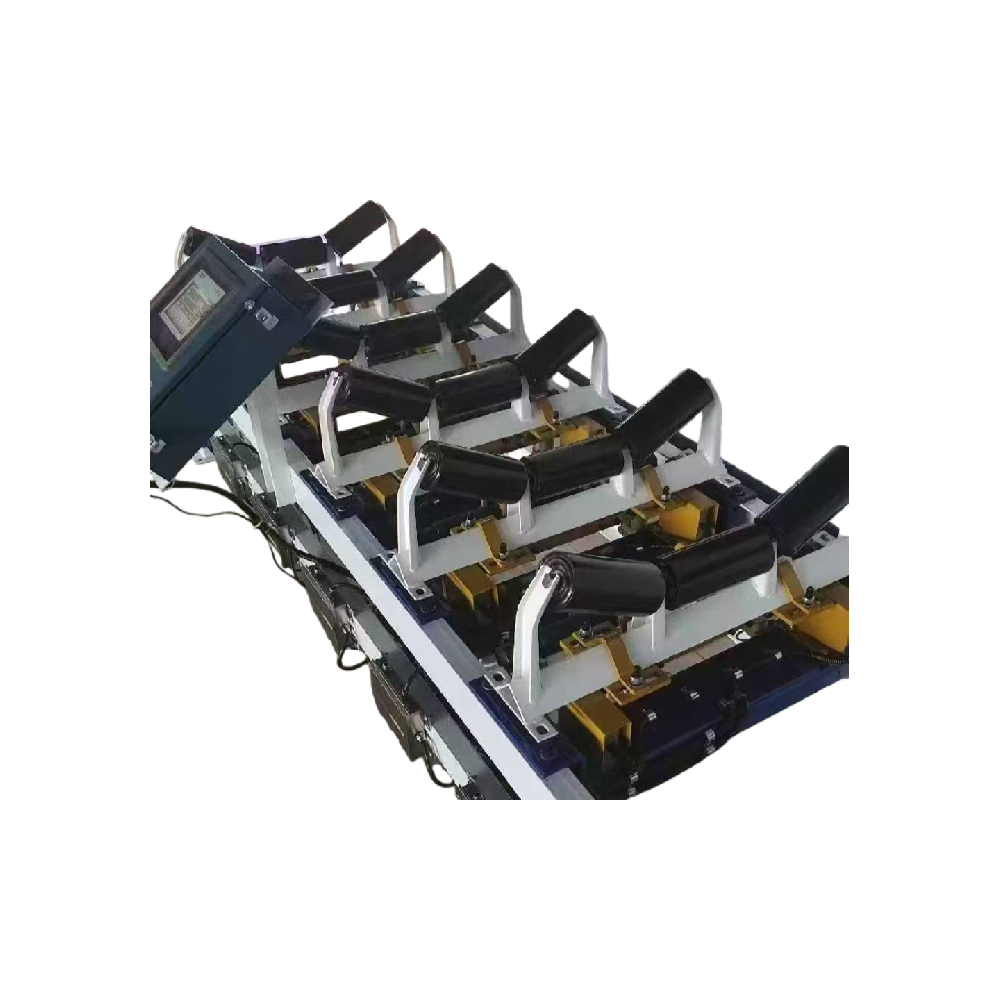 TH-GZK-NT/6高精度皮帶秤